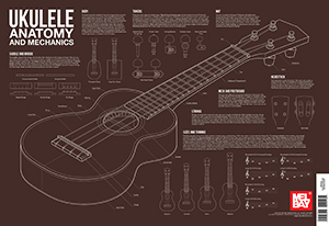 Charlie Lee-Georgescu: Ukulele Anatomy and Mechanics Wall Chart